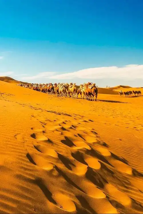 腾格里沙漠为何是中国湖盆最多的沙漠?沙漠中的湖水从何而来?