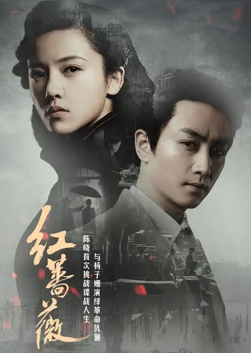 红蔷薇[dvd版]第48集_电视剧_高清完整版视频在线观看_腾讯视频