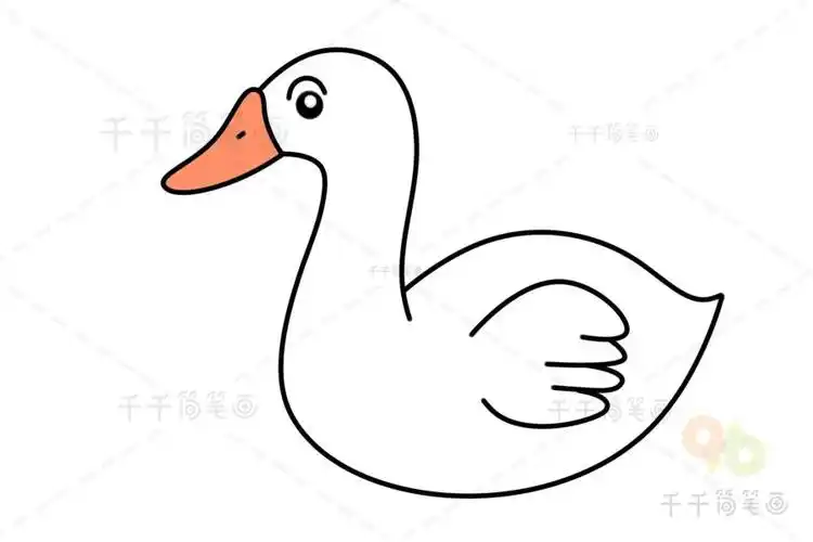 大白鹅简笔画 儿童启蒙画陆地动物简笔画