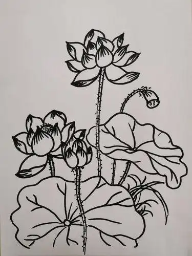 初中美术简笔画简单