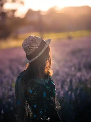 小姐姐说来东京一趟,去北海道看薰衣草花海的梦也圆了