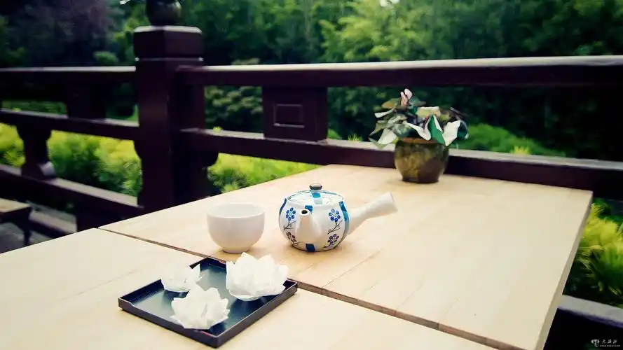 孟非的成长故事_大西北网