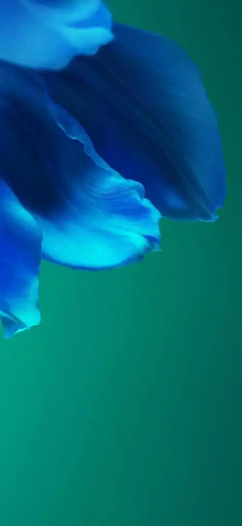 华为p40简约壁纸高清原图查看