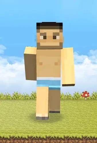 我的世界手机版泳装男皮肤