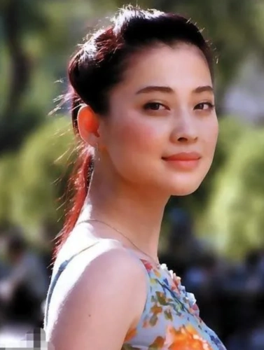 更幸运的是,梅婷在一年后又参演了一部极其重要的电影.