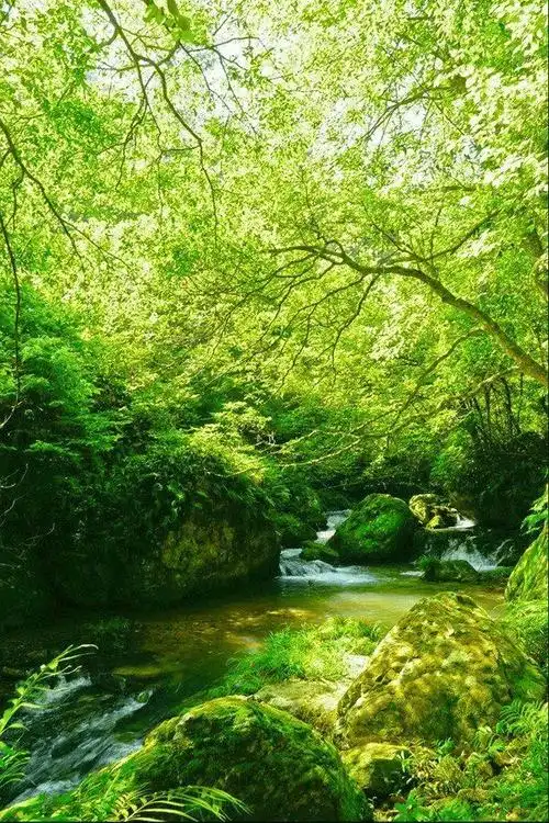 一入秋,邵阳这几处就美成仙境,一起来看看吧!|瀑布|南山牧场|崀山|幽