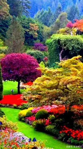 一草一木,一花一树,大自然的植物颜色搭配,才是真正的奇幻美丽