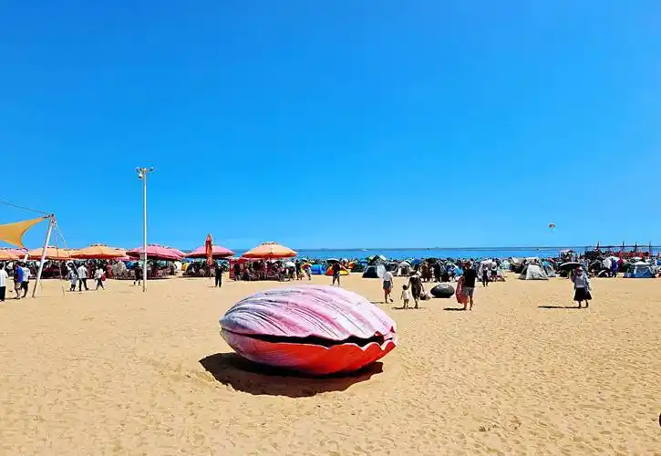 部分游客对天津东疆湾金沙滩的误解来自"认知错位"_沙子_收费_水质