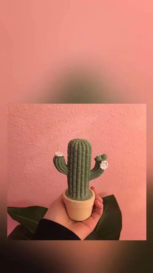 ins少女心高清手机壁纸图片