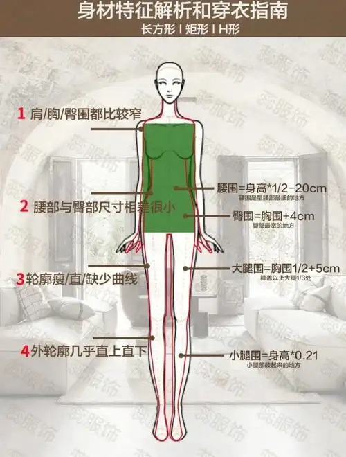 女性体型分为五类:长方形,梨型,苹果型,沙漏型和倒三角形.