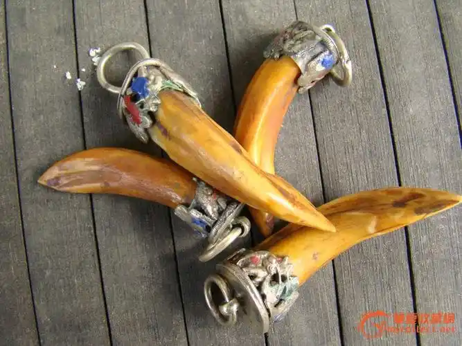 景泰蓝镶银老虎牙