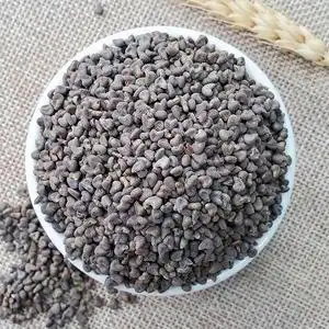 中药材苘麻子500g 苘实 空麻子 野苎麻子 冬葵子 青麻子 白麻子