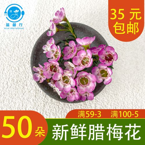 【蓝餐厅】新鲜腊梅花 摆盘花草50朵 酒店会所冷艺创意造型装饰花