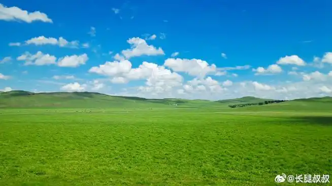 向往的乌兰布和#又到了草原最美的季节.