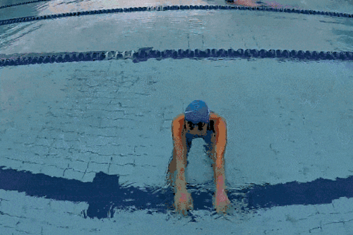 动图示范自由泳直臂划水教学