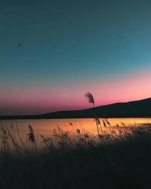 有什么适合微信状态的背景图吗? - 知乎