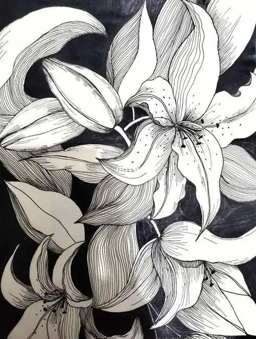 黑白线描装饰画线条线稿练习100/4