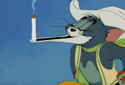 猫和老鼠 汤姆 杰克 老鼠 猫