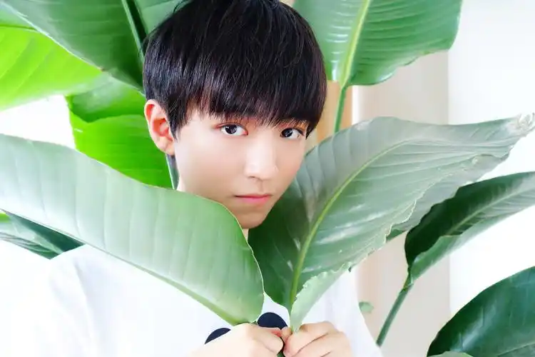 王俊凯# - 堆糖,美图壁纸兴趣社区