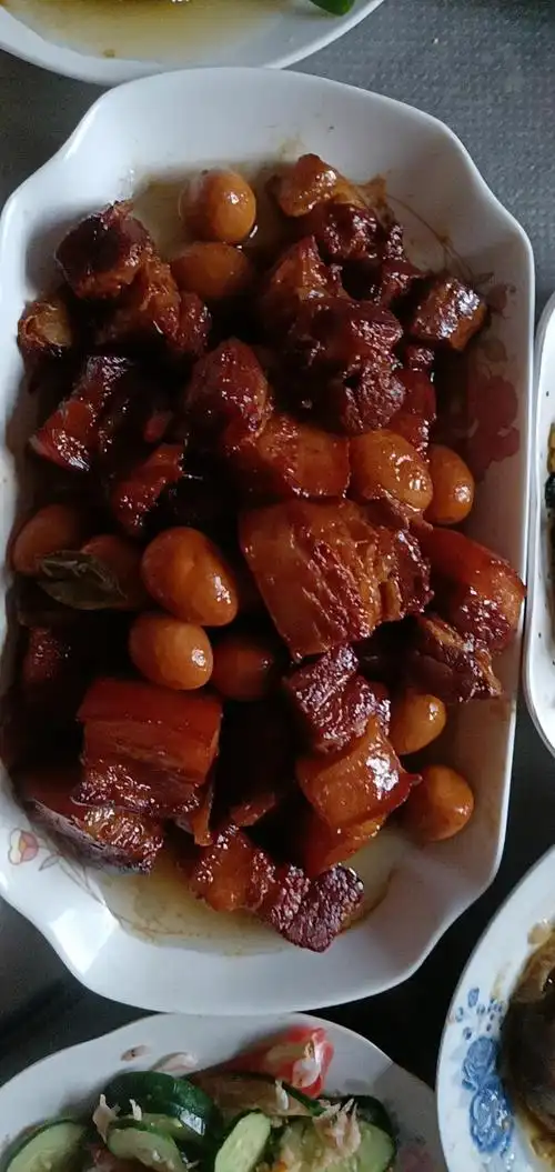 温暖的阳光sun做的年夜饭系列菜红烧肉四