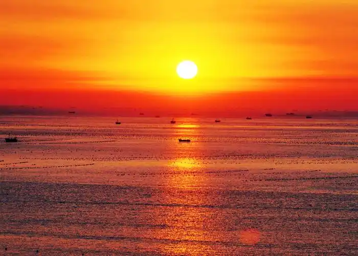 四上写景类习作