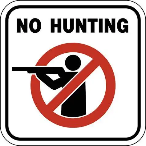 禁止狩猎 - 搜狗英文