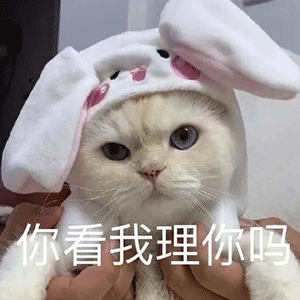 表情包沙雕表情包