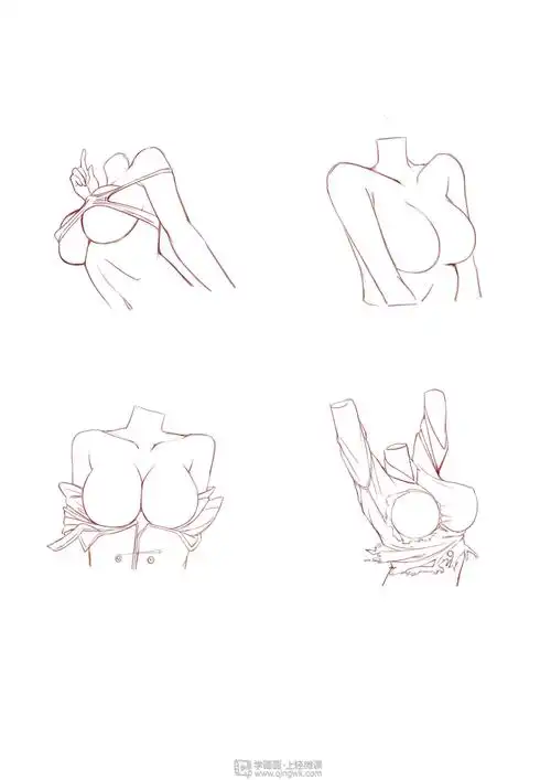 作业:如何学动漫手绘之女性胸部的画法与训练技巧 - 马河呆 - 轻微课