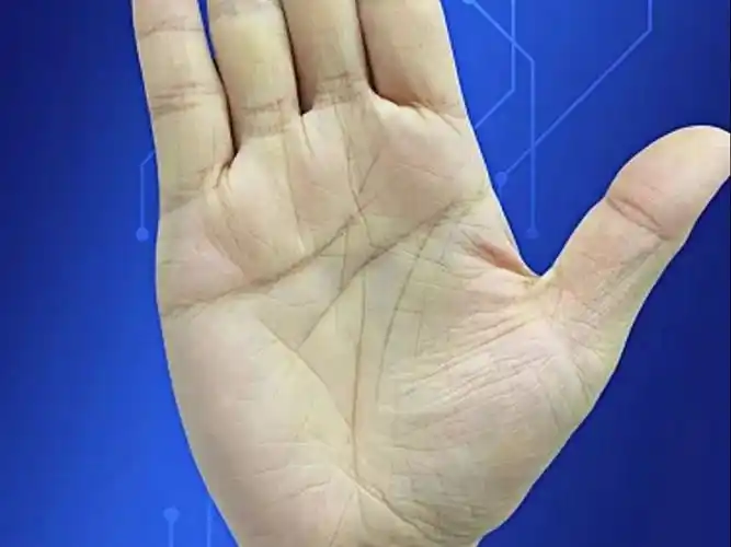 这种手相的女人,离婚也未必过得更好