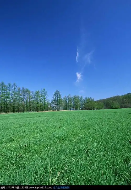 蓝天白云下绿油油的草地,自然风景图片,田园风光图片,自然风光图片