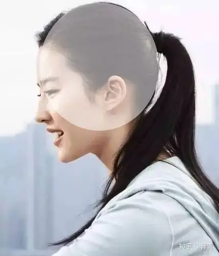 正面看,颅顶高,头宽大于脸宽(头包脸) 头包脸这个就不说了大家都懂