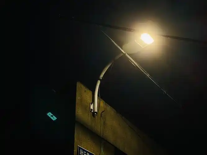 比白色还白的花百合夜晚的路灯下比光还亮