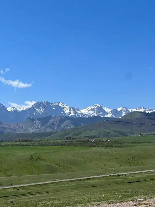 壁纸 草原 风景 桌面 700_934 竖版 竖屏 手机