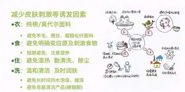 未来医生健康科普湿疹反复发作该如何应对
