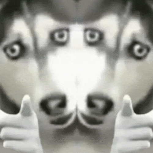 719_719gif 动态图 动图