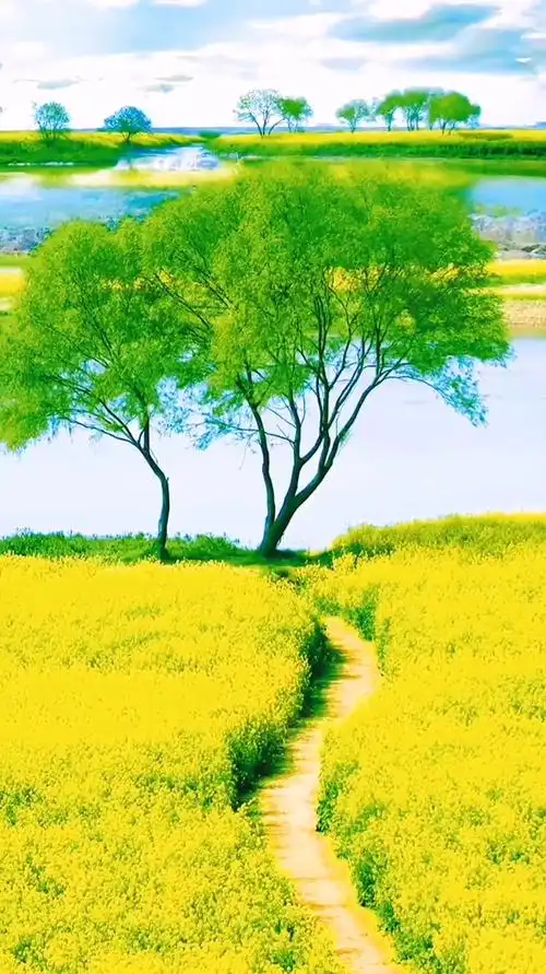 优美大自然:和冬天告别,与春天相拥,愿一切美好