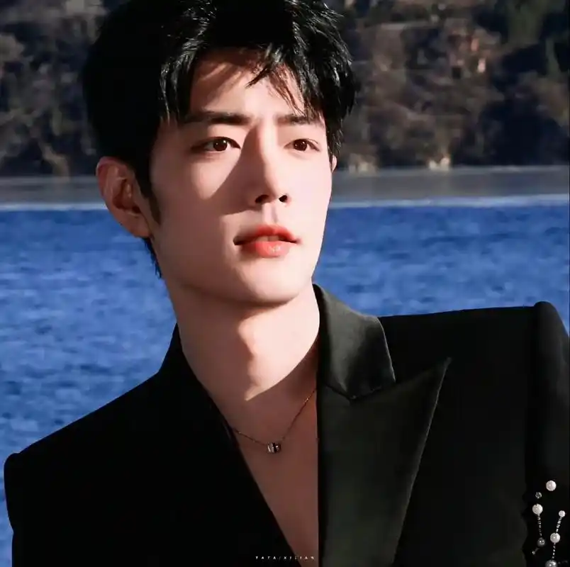 肖战 bgm听着爽,人长的更爽!#头像