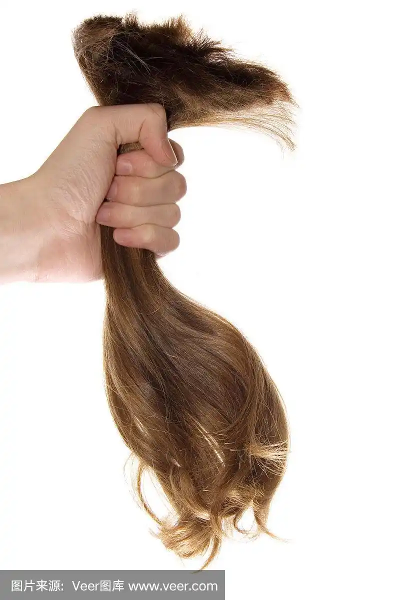 一缕头发,手,垂直画幅,褐色,白色背景