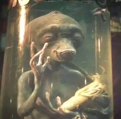 春节档喜剧《疯狂的外星人》热映,   小伙伴们都看了吗?