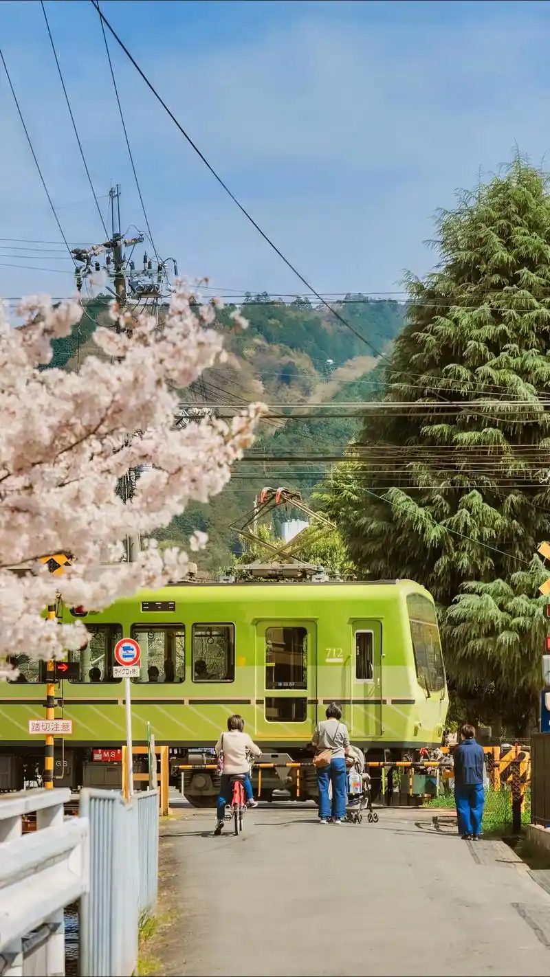 1440_2560竖版 竖屏gif 动态图 动图