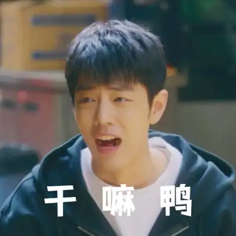 肖战看了都要保存的表情包