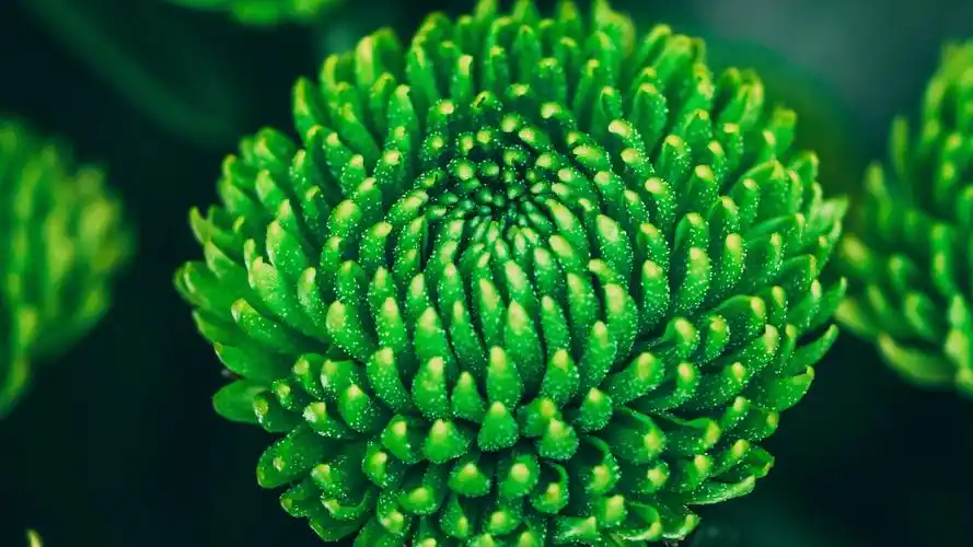 安装元气桌面,海量壁纸一键设置尺寸:3840x2160体积:2.