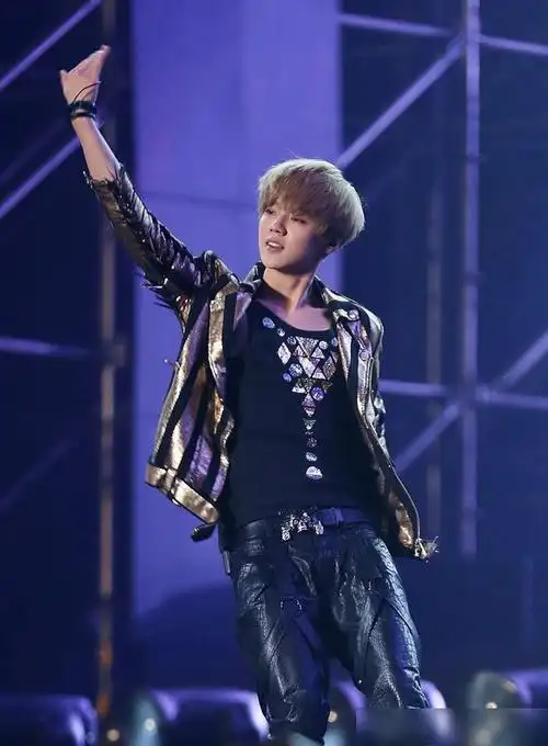 网曝鹿晗身价近3亿,持股11家公司,却由关晓彤掌握财政大权?