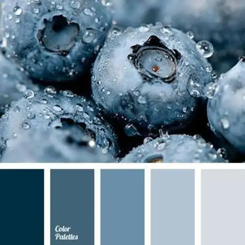 高级的冷色调配色色卡很清爽