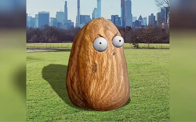 还原植物大战僵尸里面的高坚果