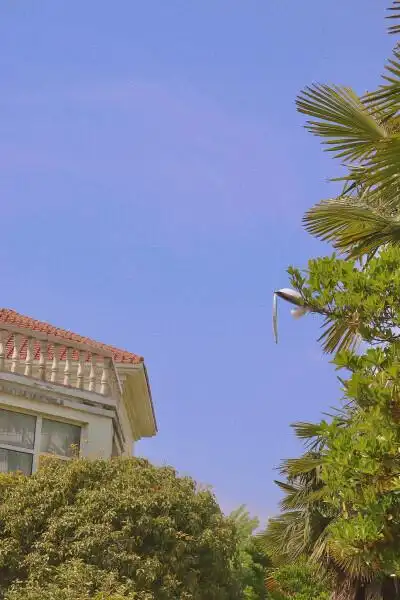 锁屏复古油画 - 堆糖,美图壁纸兴趣社区