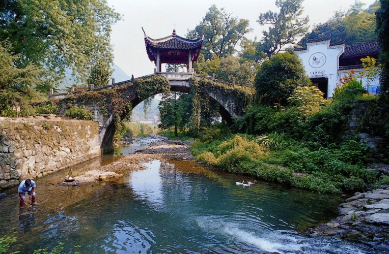 他们将整个武义搬来了,几大关键词为你独家剧透!