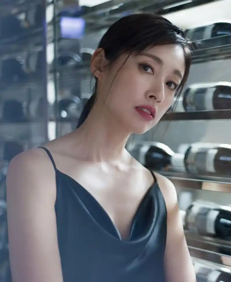 部落格,大力邀请试镜后,接下台湾电影《海角七号》的女主角"友子"一角