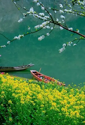 737_1080竖版 竖屏