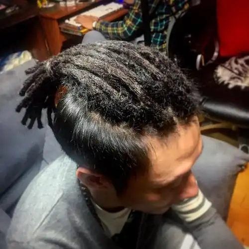 一篇关于脏辫前世今生的百科全书